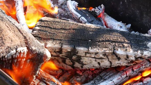 firewood in a fireplace. close-up