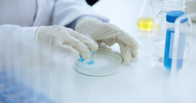 Scientist, hands and chemical analysis with petri dish for chemistry, testing and medical research. Biotech, laboratory and person with DNA inspection for pathology, synthesis or microbiology
