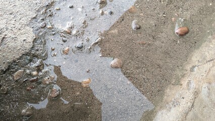 footprints on the sand