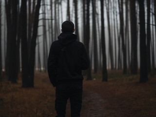 A man walks through a foggy pine forest. back view