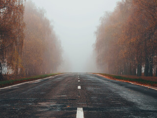 country road in a foggy autumn forest