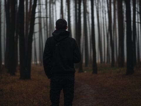 A man walks through a foggy pine forest. back view - Powered by Adobe