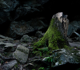 rocks