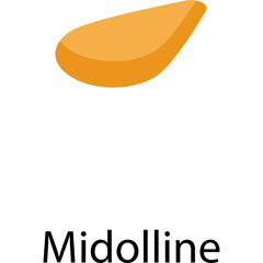 Orange Isometric Arrow Icon with Transparent Background and Midollne Text Below