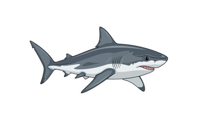 Obraz premium Vector illustration of a gray and predator shark with visible teeth swimming to the right side view