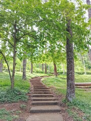 stairway to the park