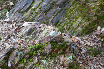 硬くて鋭い岩肌