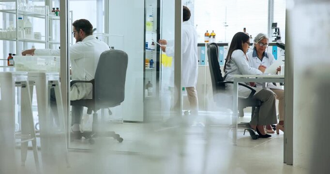 Medical, walking or people in clinic with research, coworking or trial for pharmaceutical development. Collaboration, healthcare or scientists in lab with planning, advice and aid for study results.