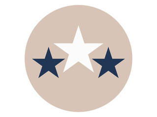 Ranking icon. SEO symbol icon vector. Solid vector icons. Flat illustration concept.