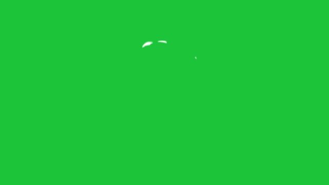Animated white smoke wisps on green screen. Perfect for atmospheric effects, magic, or subtle transitions. Easily keyable