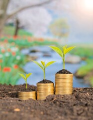 Growing plants on coins in a garden setting