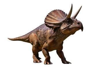 Obraz premium Detailed educational dinosaur model,full body,(zuniceratops),Skeletal, isolated on transparent or white background
