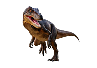 Detailed educational dinosaur model,full body,(allosaurus),Skeleton, isolated on transparent or white background