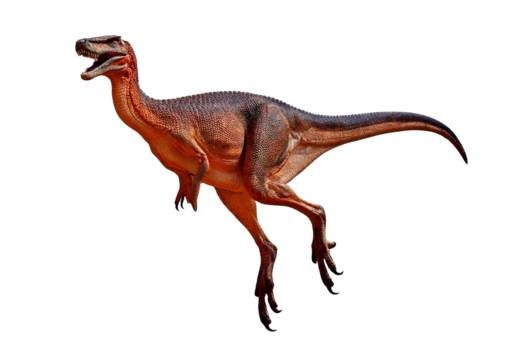 Detailed educational dinosaur model,full body,(oviraptor),Skeleton isolated on transparent or white background