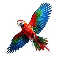 Obraz premium Colorful parrot soaring, red, blue, green feathers displayed in flight