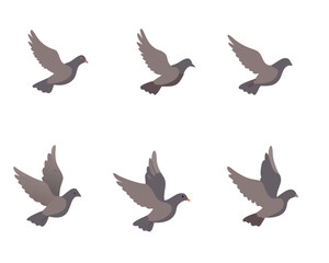 Pigeon animation. Bird motion wings in heaven, birds sequence frame sprite cycle movement flight feather 2d animated dove flying migratory pigeons, cartoon neat vector ... See More