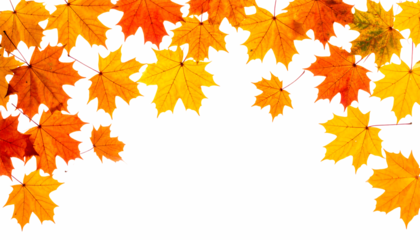秋色に染まるカエデの葉｜背景なし・透過PNG・コピースペース