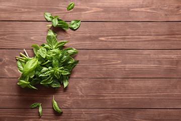 Fresh green basil leaves on wooden background