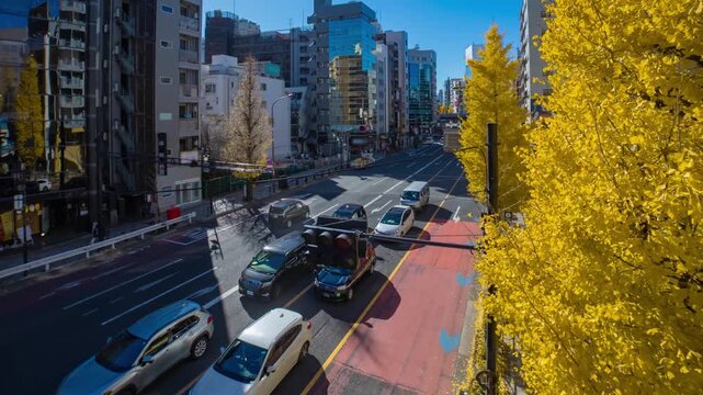 A timelapse of traffic jam at city street with yellow leaves in Tokyo wide shot