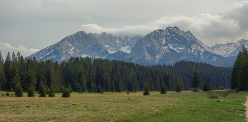 Durmitor mountainrange and pine forest near to Zabljak, in Montenegro