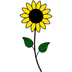 Illustration of a single yellow sunflower on transparent background silhouette