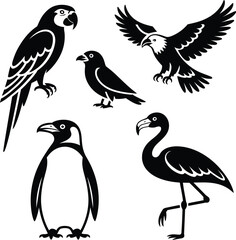 Naklejka premium Diverse bird silhouettes bundle parrot eagle