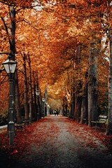 A colorful autumn landscape of trees and yellow-orange foliage on a park road path