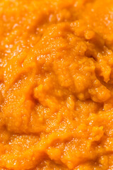Raw Organic Cooked Pumpkin Puree