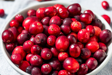 Healthy Organic Red Raw Cranberries