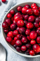 Healthy Organic Red Raw Cranberries