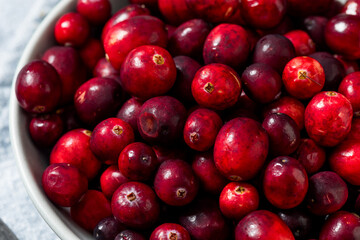 Healthy Organic Red Raw Cranberries
