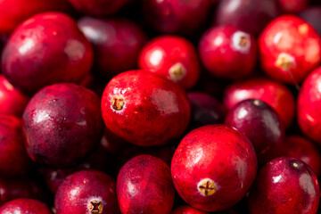 Healthy Organic Red Raw Cranberries