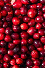 Healthy Organic Red Raw Cranberries