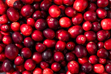 Healthy Organic Red Raw Cranberries
