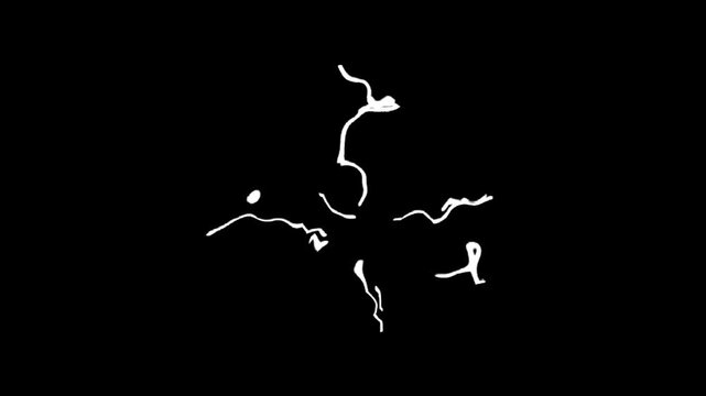 Animated abstract white lines exploding outwards on black screen. Energetic, chaotic, organic burst effect. Sci-fi, magic