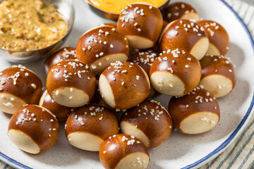 Salty Homemade Soft Pretzel Bites
