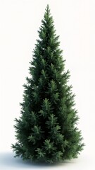 Fototapeta premium A 3D rendering of a Christmas tree on a white background.