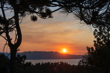 Sunset view over Lake Tahoe, California, USA, framed by pine trees in the foreground. and with space for copy