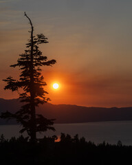 A dramatic sunset over Lake Tahoe, California, USA, with a tall pine tree silhouetted against the glowing orange sky copy space