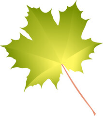 Hand-drawn green-yellow autumn colored single maple leaf isolated on white background. Flat and line style vector illustration. 