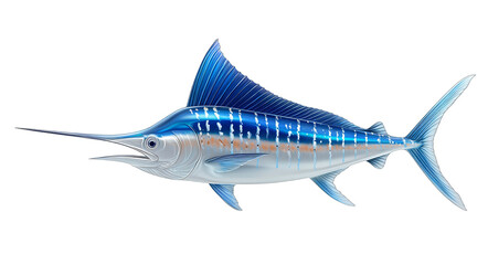 Obraz premium A detailed illustration shows a blue marlin with vibrant blue and white colors swimming gracefully in the water.