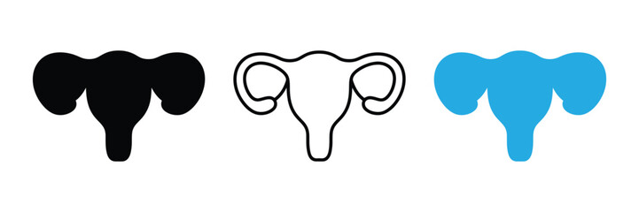 Female reproductive system illustrated in black, blue, and outline style,Uterus vector icon in different styles isolated on white background