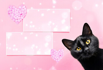 黒猫のメッセージカード