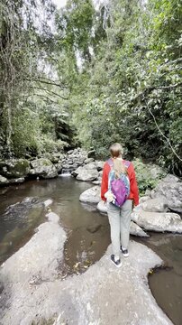 Adventurous girl explores famous gondwana rainforest in Lamington Nartional Park close to Gold Coast. Trail to beautiful Elabana falls, O'Reilly's section, Queensland, Australia