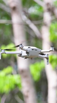 Drone Flying Through Lush Rubber Tree Plantation in Daylight