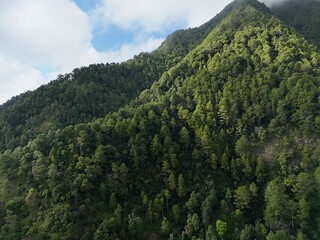 Fototapeta premium Aerial view of a lush green mountain covered with dense tropical forest under a bright blue sky and low clouds.