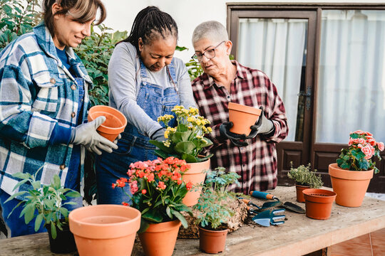 Happy diverse senior friends gardening together at home patio
