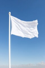 The Strategic Partnership of Diversity: When Society Paints the Globe in Harmony