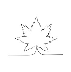 Maple leaf doodle line simple vector illustration 