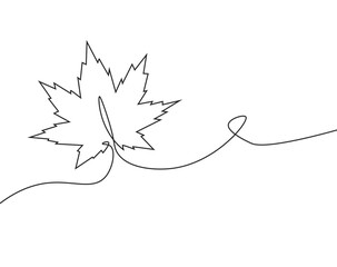 One continuous line drawing doodle leaves maple autumn illustration vector